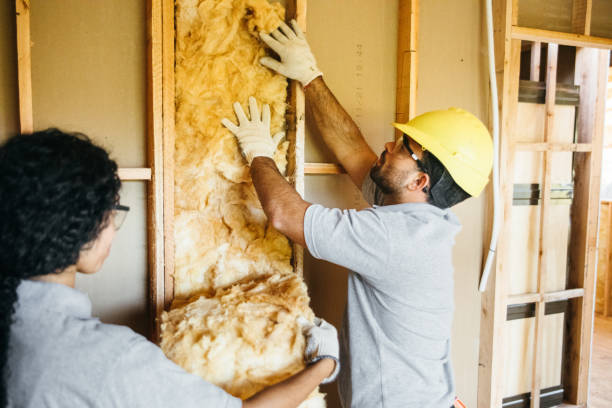 Insulation Inspection Services in Choudrant, LA